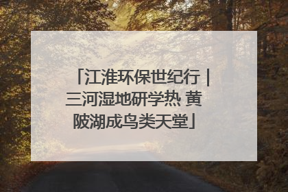 江淮环保世纪行｜三河湿地研学热 黄陂湖成鸟类天堂